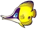 Kugelfisch Symbol Wild Shark