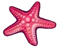 Muschel Symbol Wild Shark
